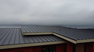 Best Commercial Roofing Services  in Elm Creek, NE